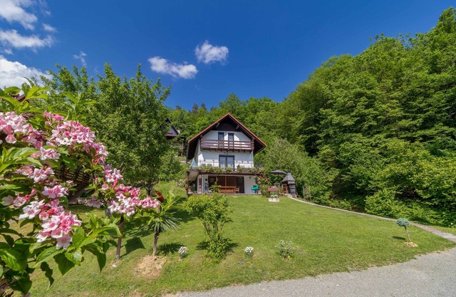 Ideal oasis for a vacation surrounded with forest