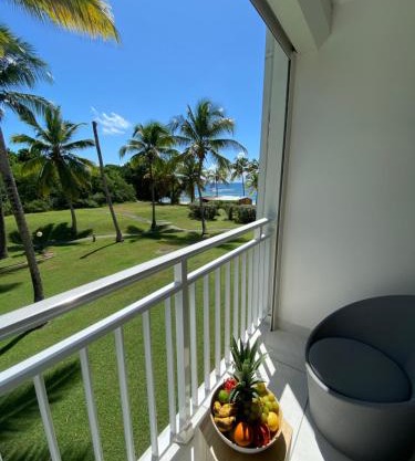 Iguana studio vue mer avec cuve