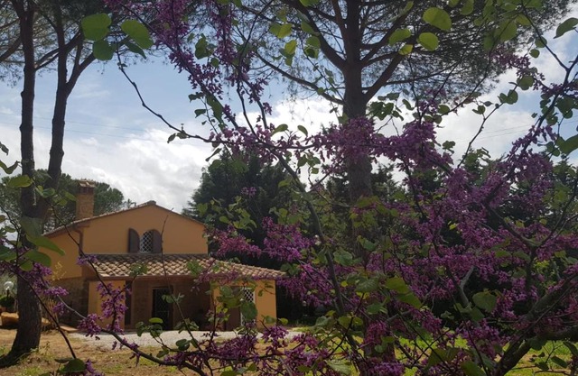 Il Montedoro