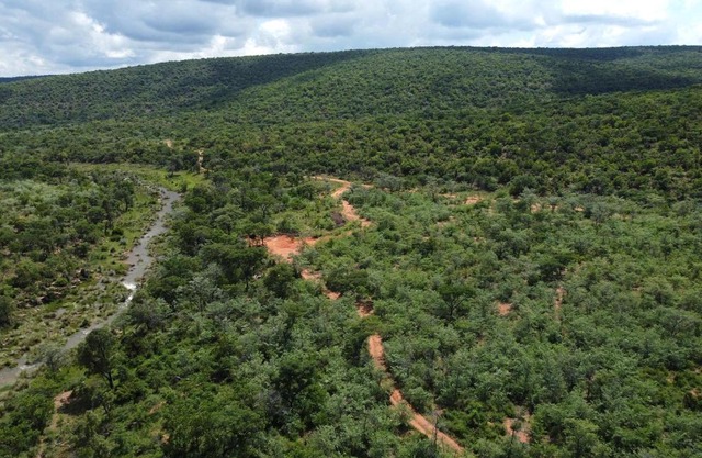 Ilanga Safari Lodge - Welgevonden Game Reserve
