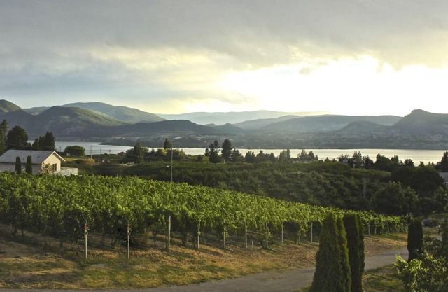 'Imagine It', The Naramata Bench Guest House.