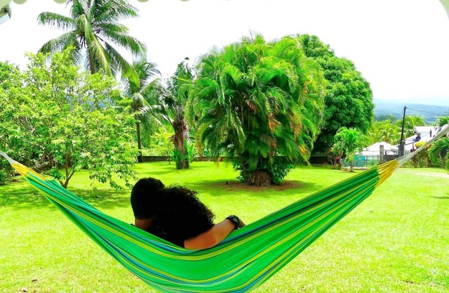 In a corner of greenery