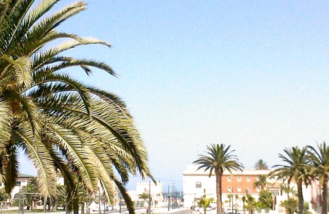 In front of the beach Free WIFI.