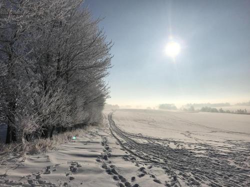 Inviting apartment in Pruchten with garden