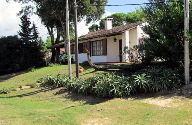 Jacarandá