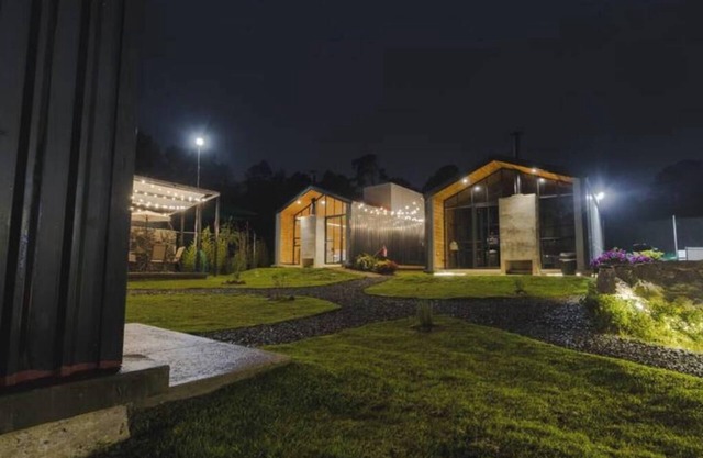 Jacaranda Whisper By Managers B1