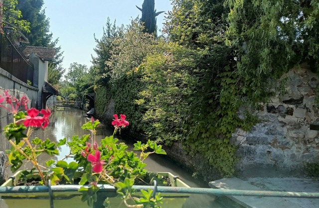 Jacuzzi et Détente à Flagy