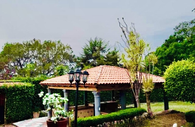 Jardín de los Soles Californian Residences