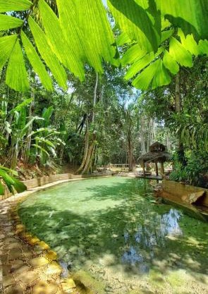 Jardim da Amazônia Lodge