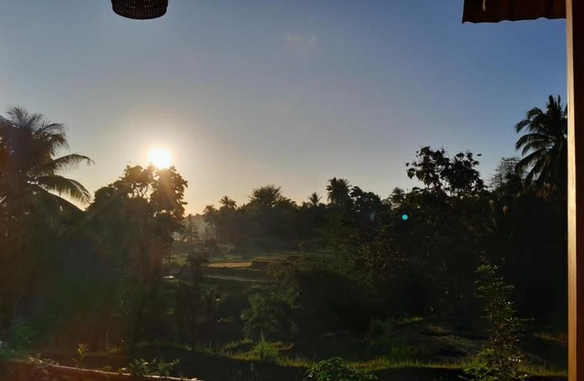 Jelita dan pondok ampel duri