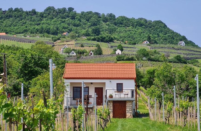 Jera Pince és Vendégház