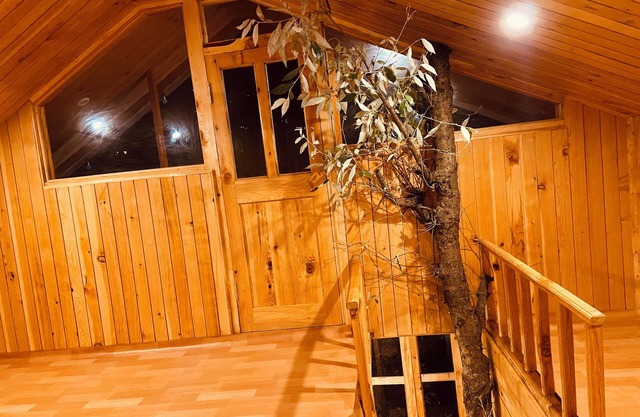 Jibhi Bliss Treehouse Cottage