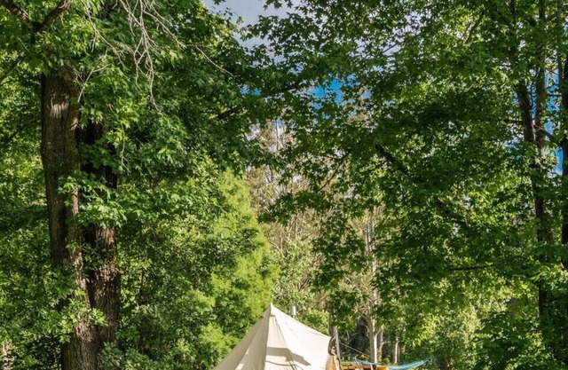 Jilliby Creek Glamping Tent