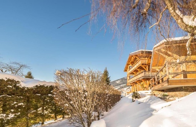 Joyau des neiges - Chalet - BO Immobilier - Châtel - Multipass été 2025 offert