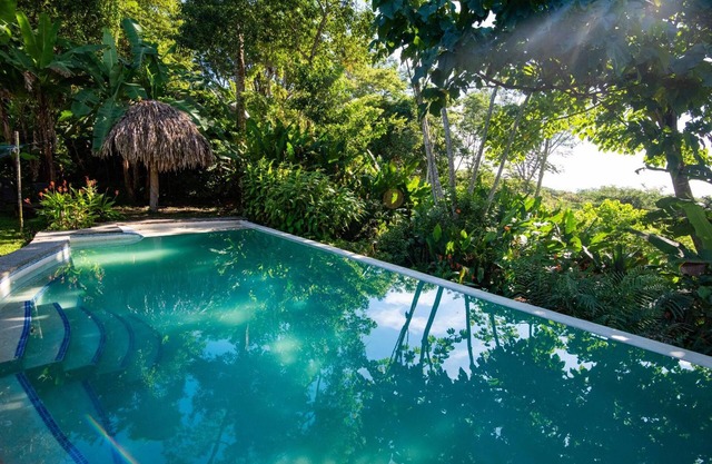 Jungle Lodge at Wild Sun Rescue