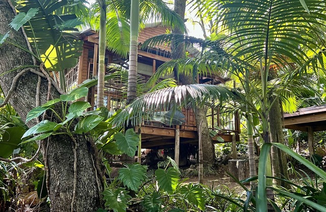 Jungle Treehouse - No Loadshedding LoerieRoep Unit 5