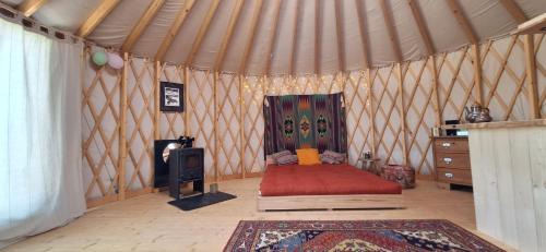 Jurta wkoło zielono