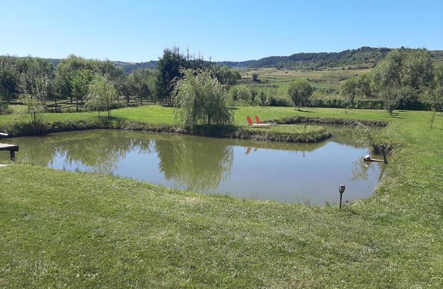 Kacsó Apartma