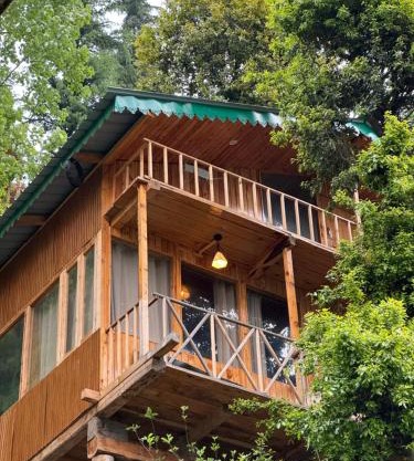Kakapo Nest a Big Chill Treehouse