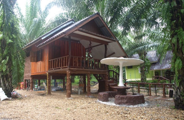 Khaosok Palmview