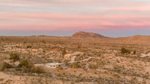 Kinetic House-Joshua Trees Sculptures Cowboy Pool