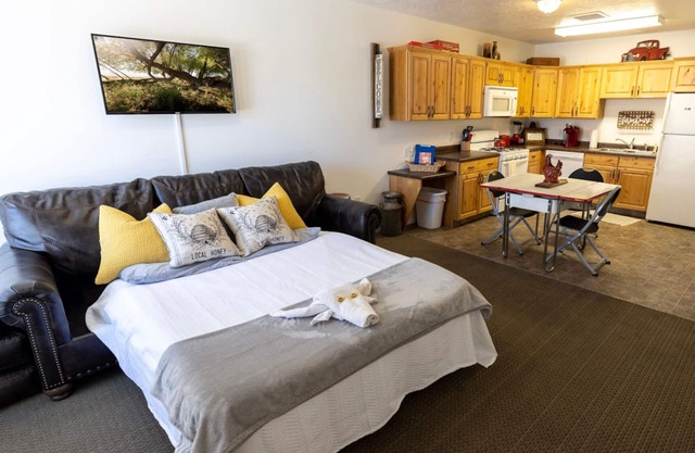 🤠king studio w/Q sleeper+kitchen+washer/dryer+250mbps wi-fi🥾(15mi)maple canyon