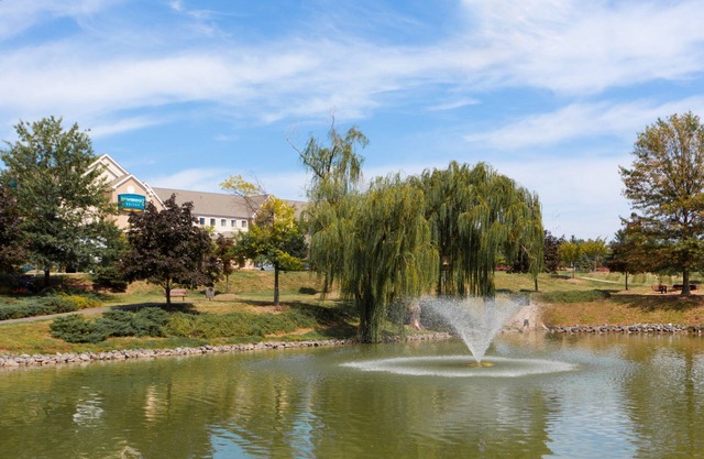 King Suite Near IAD | Free Breakfast + Shuttle to Airport + Corporate Area