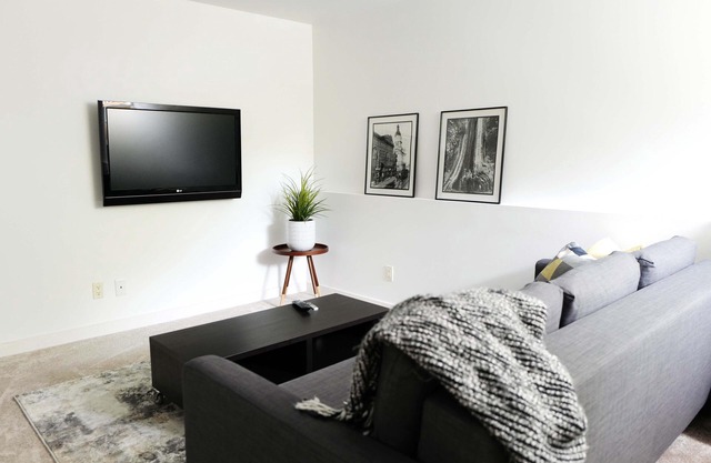 Kitsilano Modern Comfort - Spacious 1 bedroom in quiet tree lined neighbourhood