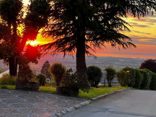 Kraft tanken in grüner Oase mit großem Wohnraum und riesigem Garten