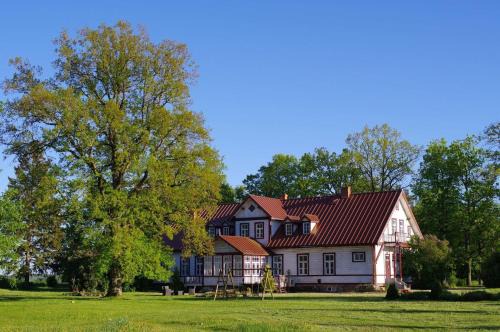 Kursi Summer Manor