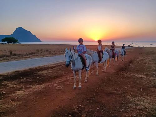 L'oasi Una Pineta Sul Mare