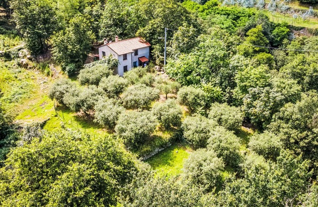 La casa del Fiume by Interhome