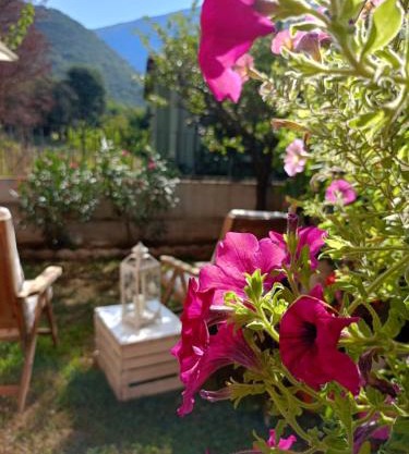La Civetta appartamento con giardino e parcheggio