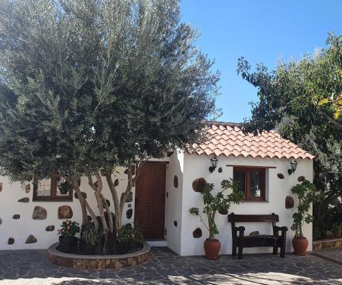 La Gallania de Papá Pepe