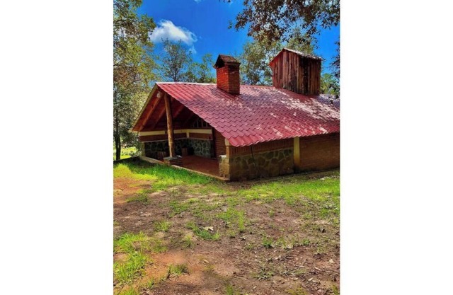 La Joyita Forest Retreat Cabin By GEstores