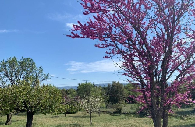 La Lavande - Maison de Vacances en Provence Avec Piscine Privée et Jardin Arboré