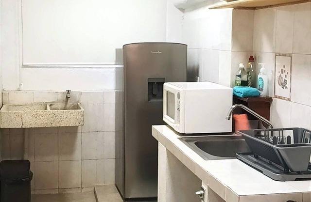 La Palapa Condominio