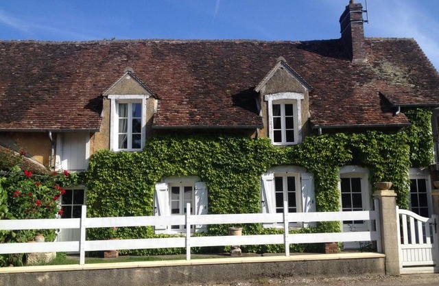 La Vigne dorée