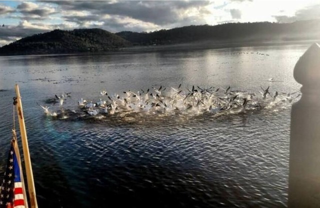 Lakefront Guest Suite with Spa and Dock