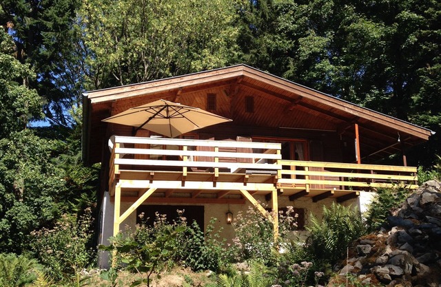 Large and beautiful wild cottage with sauna Alsace