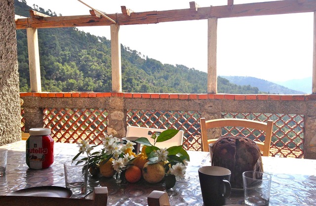 Large house, Cote d'Azur, 10 min from the beach in a small picturesque village