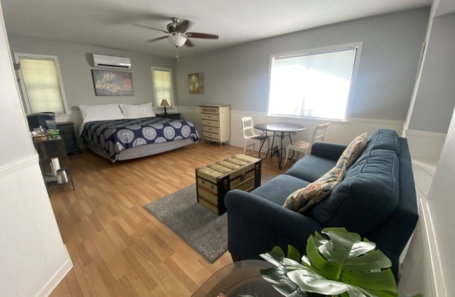 Large king guest room with private entrance and bathroom.