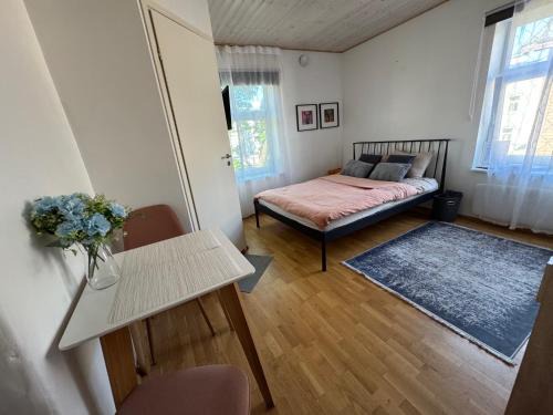 Laura comfy city apartment studio Kappeli 8-2 near Tallinn airport, next to the bus station