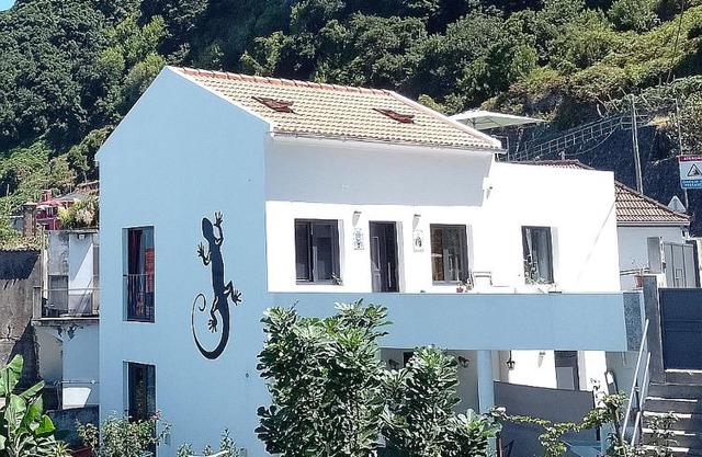 Lazy Lizard by the Ocean