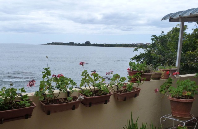 Le Cactus Guesthouse