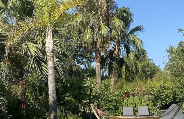 Le Cocoon Lodge du Gapeau