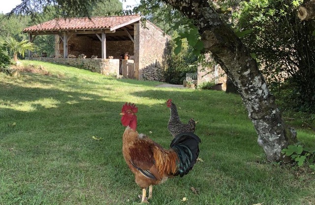 Le Gîte de lescarcelles proche du château de Bonaguil