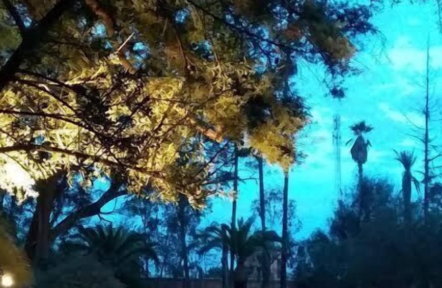 Le Jardin De La Koudya