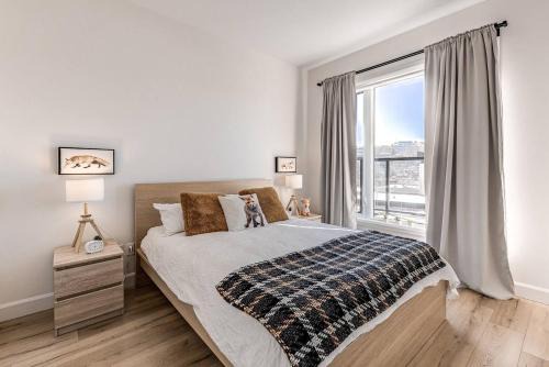 Le Renard-Condo Urbain