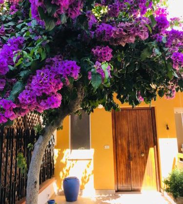 Le stanze di Botticelli